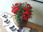 20100509102838.jpg