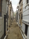 DSC01916.JPG