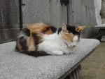 DSC01924.JPG
