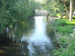 DSC03207.JPG