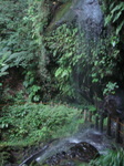 DSC03790.JPG