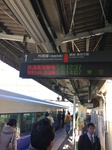 ファイル_002.jpeg