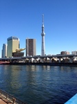 写真 1.JPG