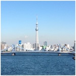 写真 2.JPG