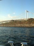 写真 (1).JPG