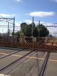 写真 (2).JPG